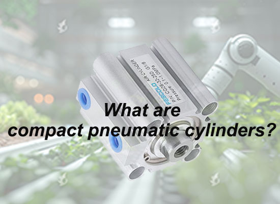 What are compact pneumatic cylinders?