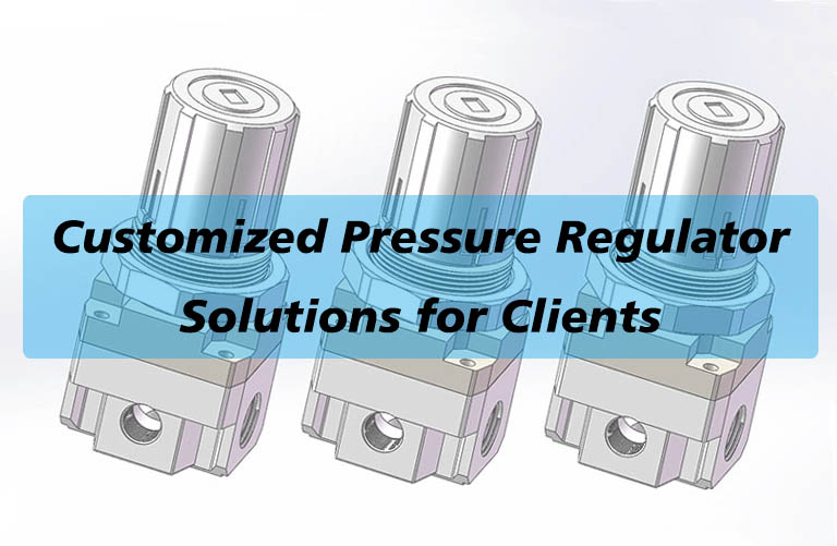 Customized Pressure Regulator Solutions for Clients